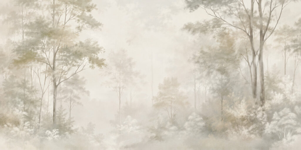 Foggy forest with trees Foggy forest with trees