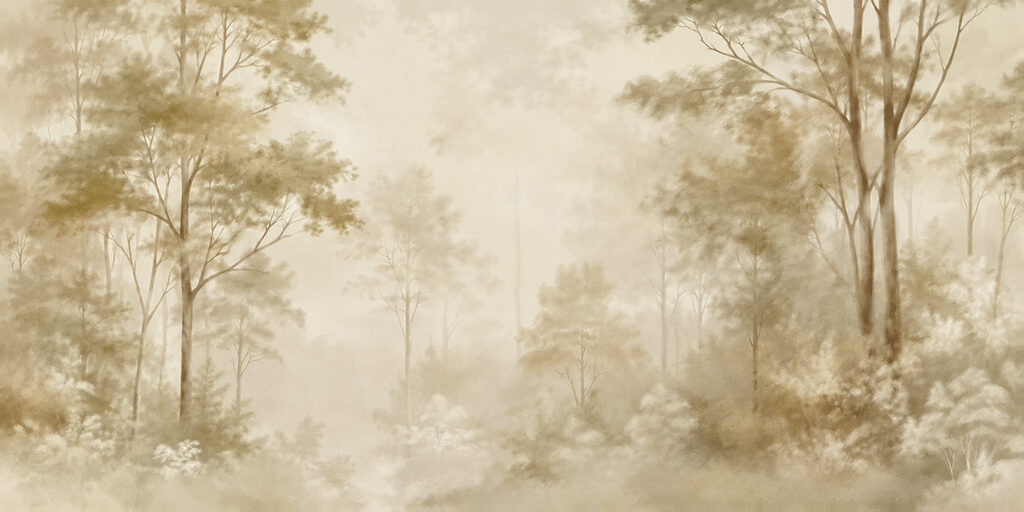 Foggy forest with trees Foggy forest with trees