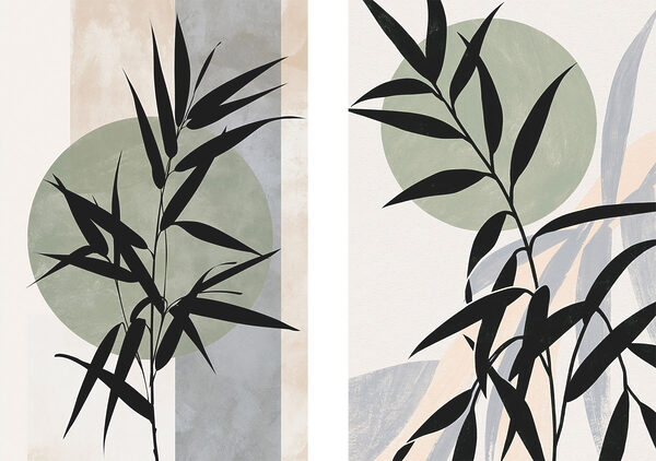 Two images of a plant