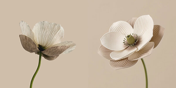Delicate blooms in soft tones