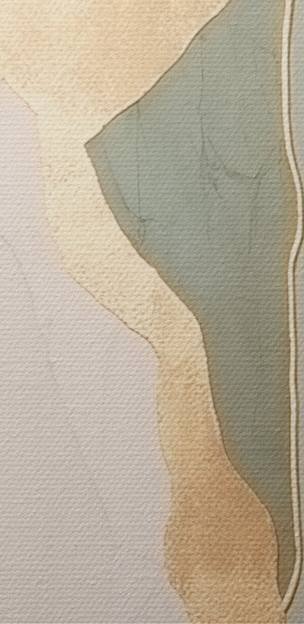 Elegant lines and soft colors Elegant lines and soft colors