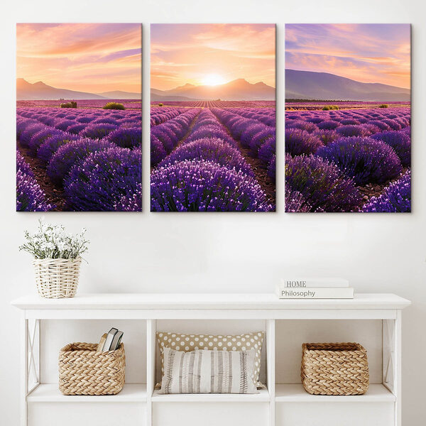 Lavender field with mountains in the background Lavender field with mountains in the background