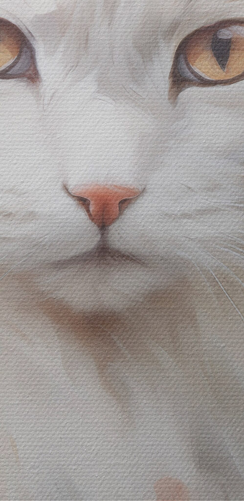 White cat with yellow eyes