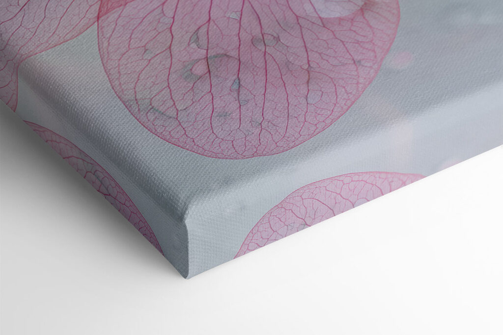 Delicate petals with refreshing droplets Delicate petals with refreshing droplets
