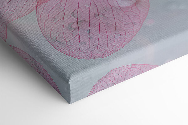 Delicate petals with refreshing droplets Delicate petals with refreshing droplets