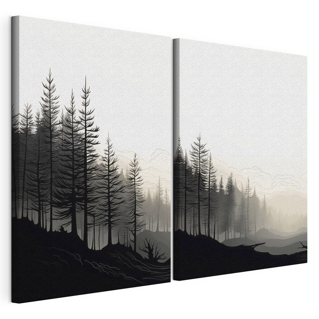 Black and white image of a forest Black and white image of a forest
