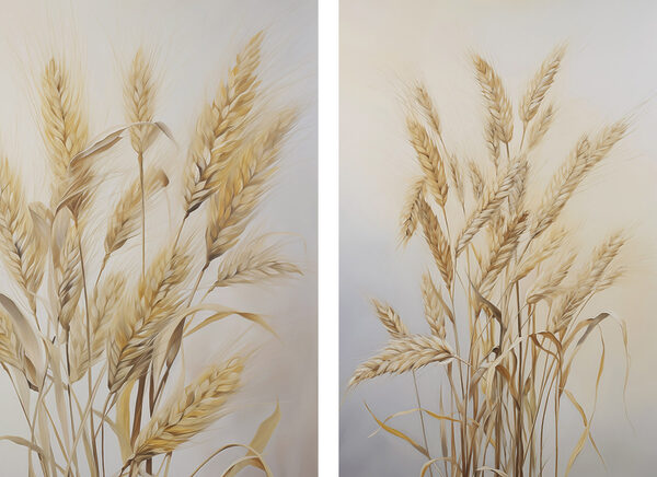 Painting of wheat on a white background Painting of wheat on a white background