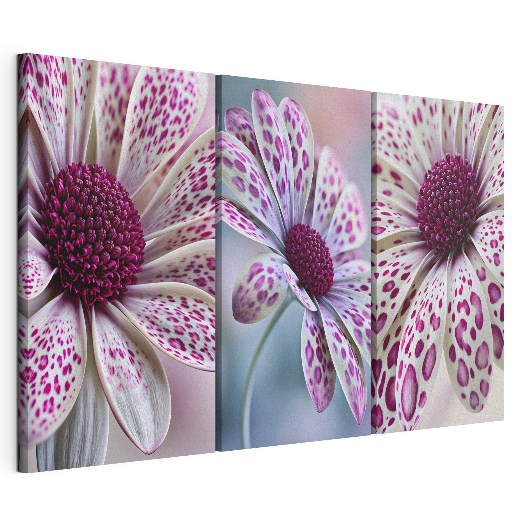 Blooming beauty in vibrant patterns Blooming beauty in vibrant patterns