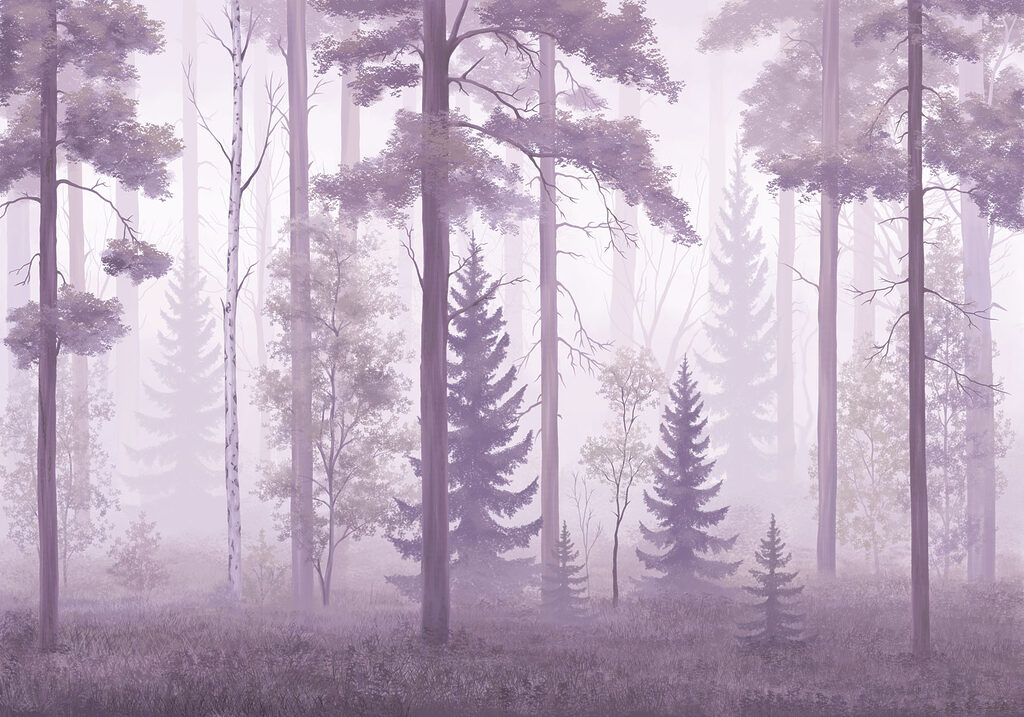 Foggy forest with trees