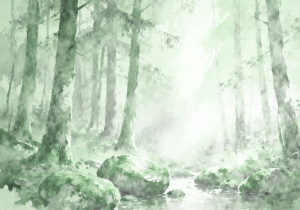 Watercolor painting of a forest with rocks and trees Watercolor painting of a forest with rocks and trees