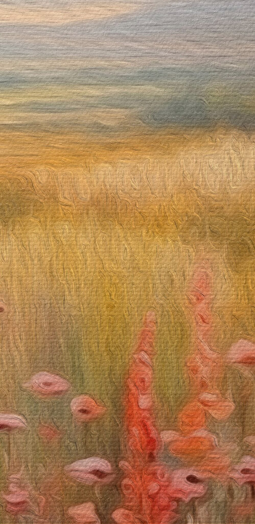 Field of flowers and trees