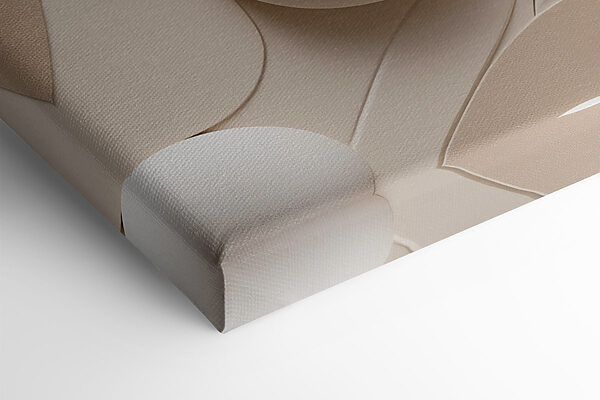 Soft curves and shapes in harmony Soft curves and shapes in harmony