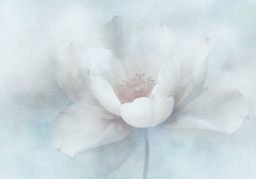 White flower with a red center