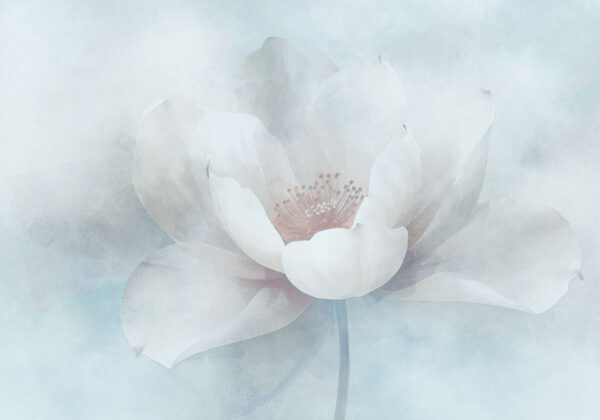 White flower with a red center