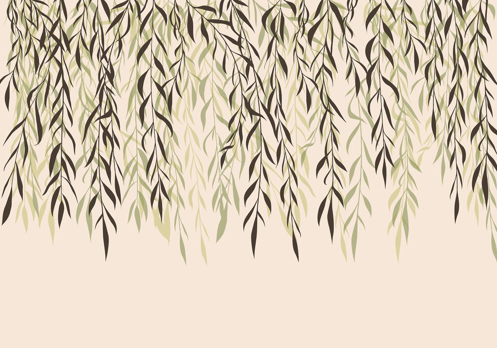Delicate leaves cascading downward gracefully Delicate leaves cascading downward gracefully